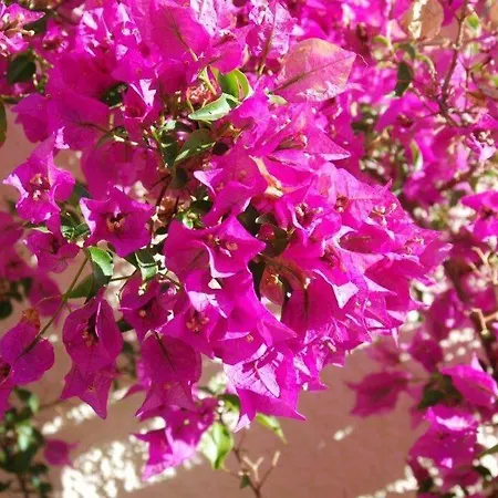 Casa Helena Villa Moraira