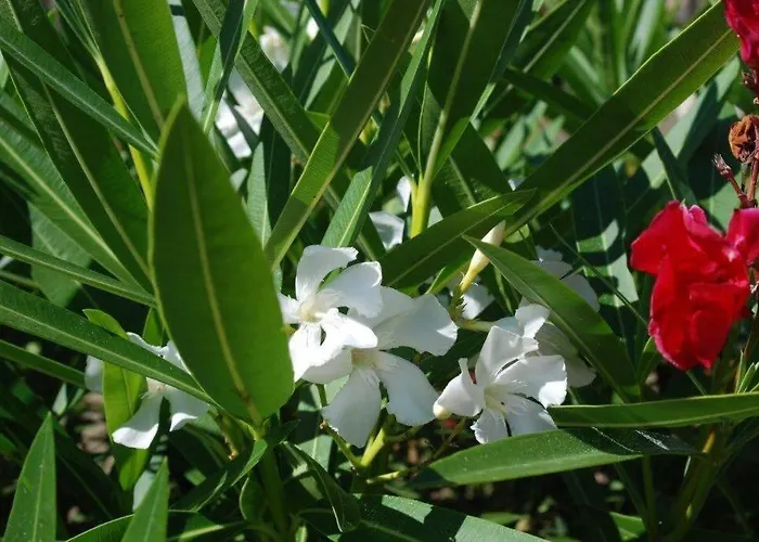 Villa Casa Helena Moraira